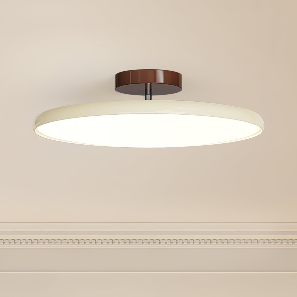 Adjustable Disc Ceiling Light With Low Profile Mount