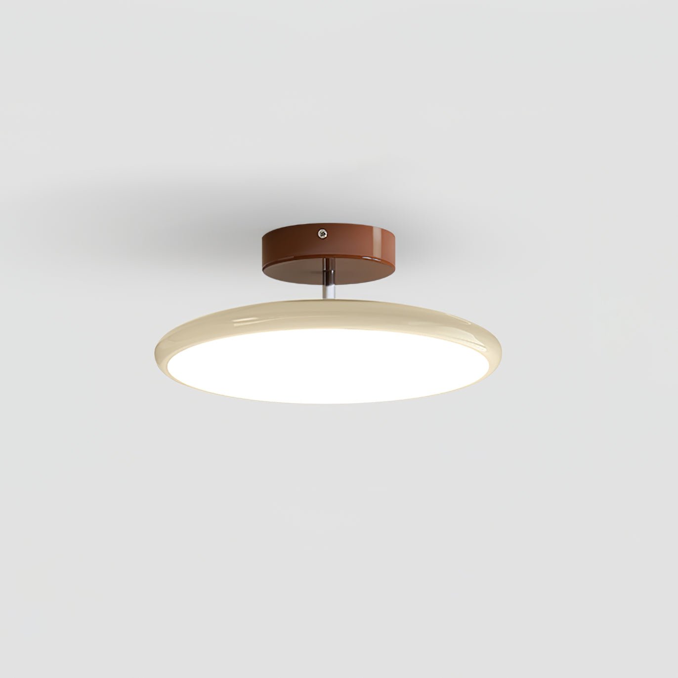 Adjustable Disc Ceiling Light With Low Profile Mount