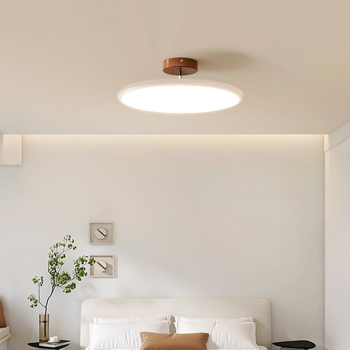 Adjustable Disc Ceiling Light With Low Profile Mount