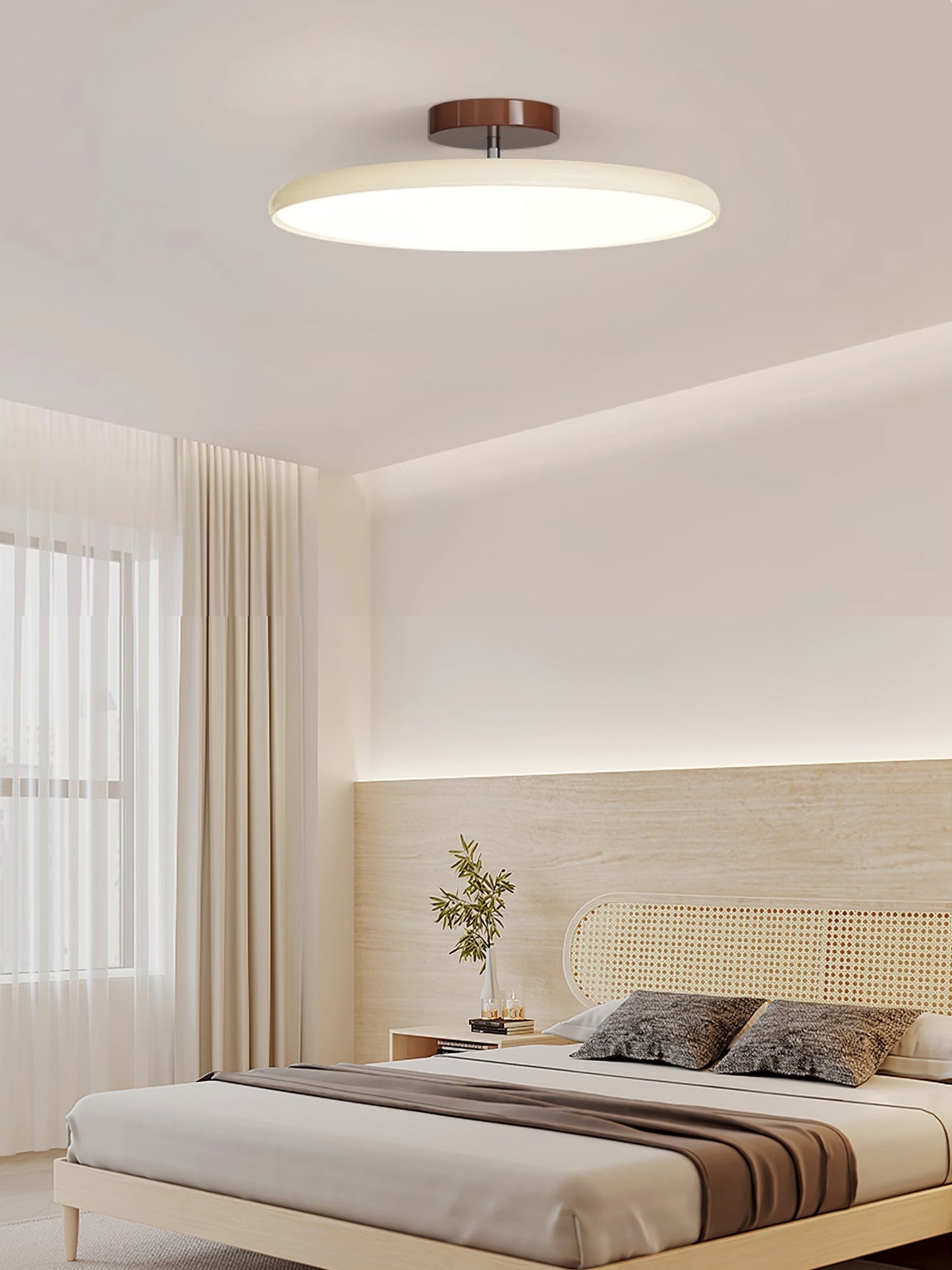Adjustable Disc Ceiling Light With Low Profile Mount