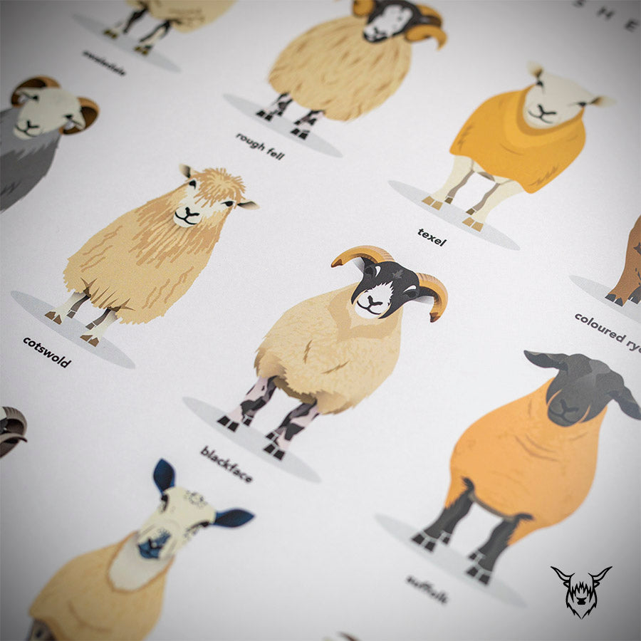 Sheep Breeds