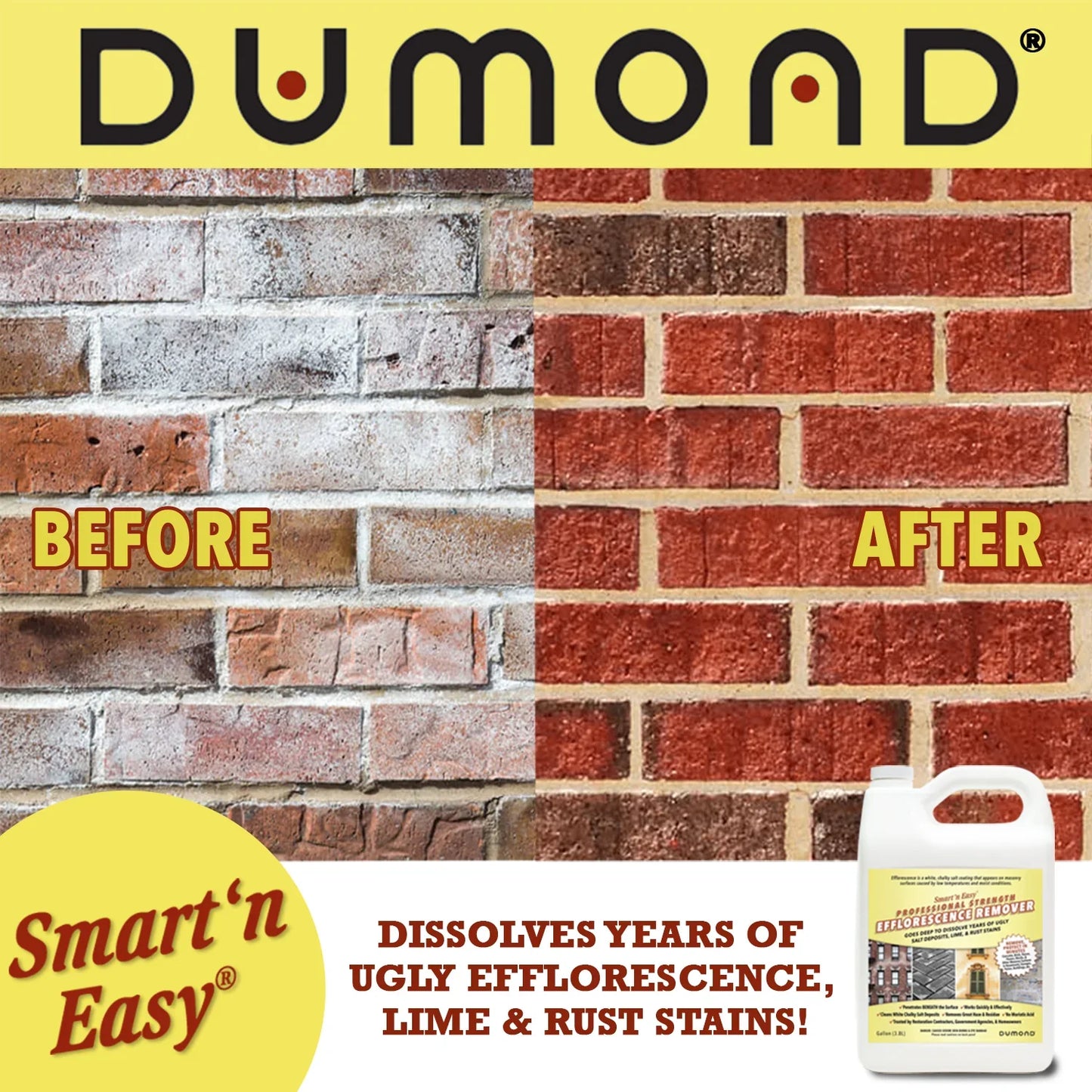 Smart ‘n Easy Efflorescence Remover (1 Gallon)