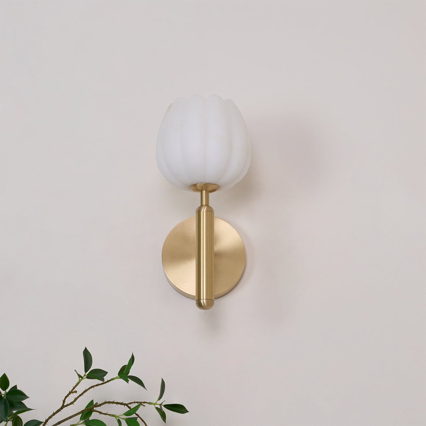 Textured Tulip Shade Wall Lamp With Round Backplate