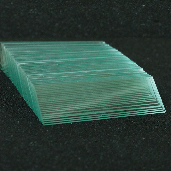 Micro Slides Bluestar