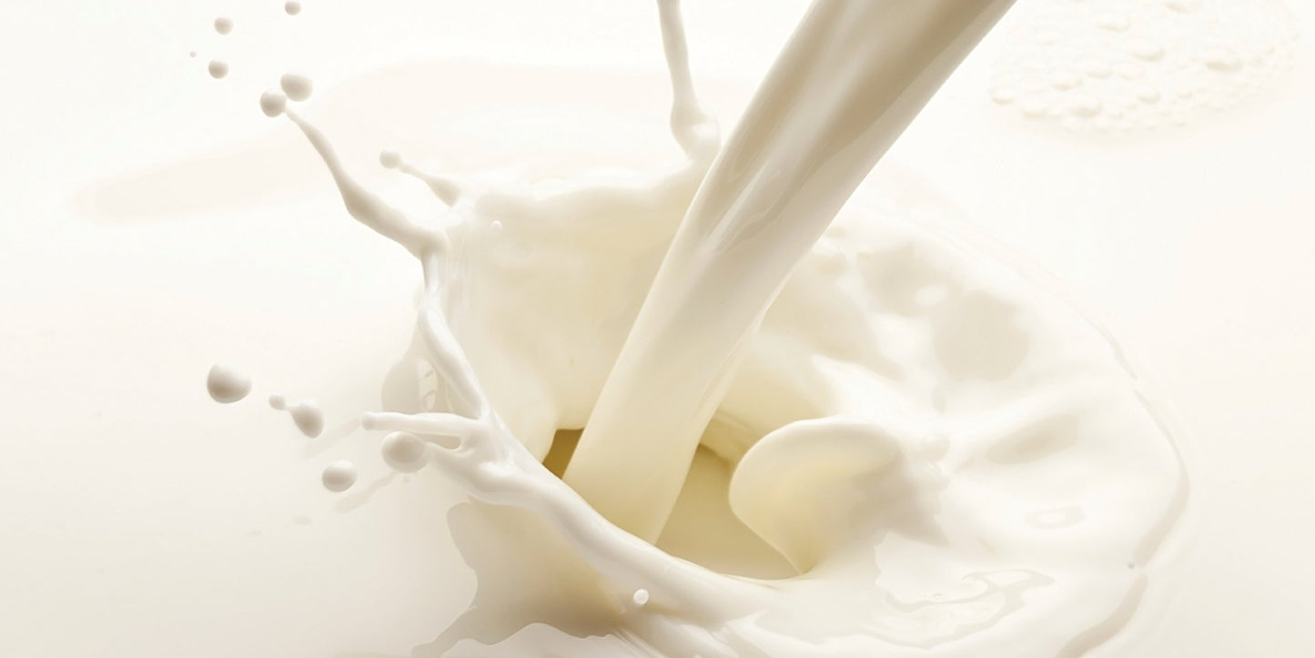Hydrolysed Milk Protein Liquid Water Soluble (Protein 20%)