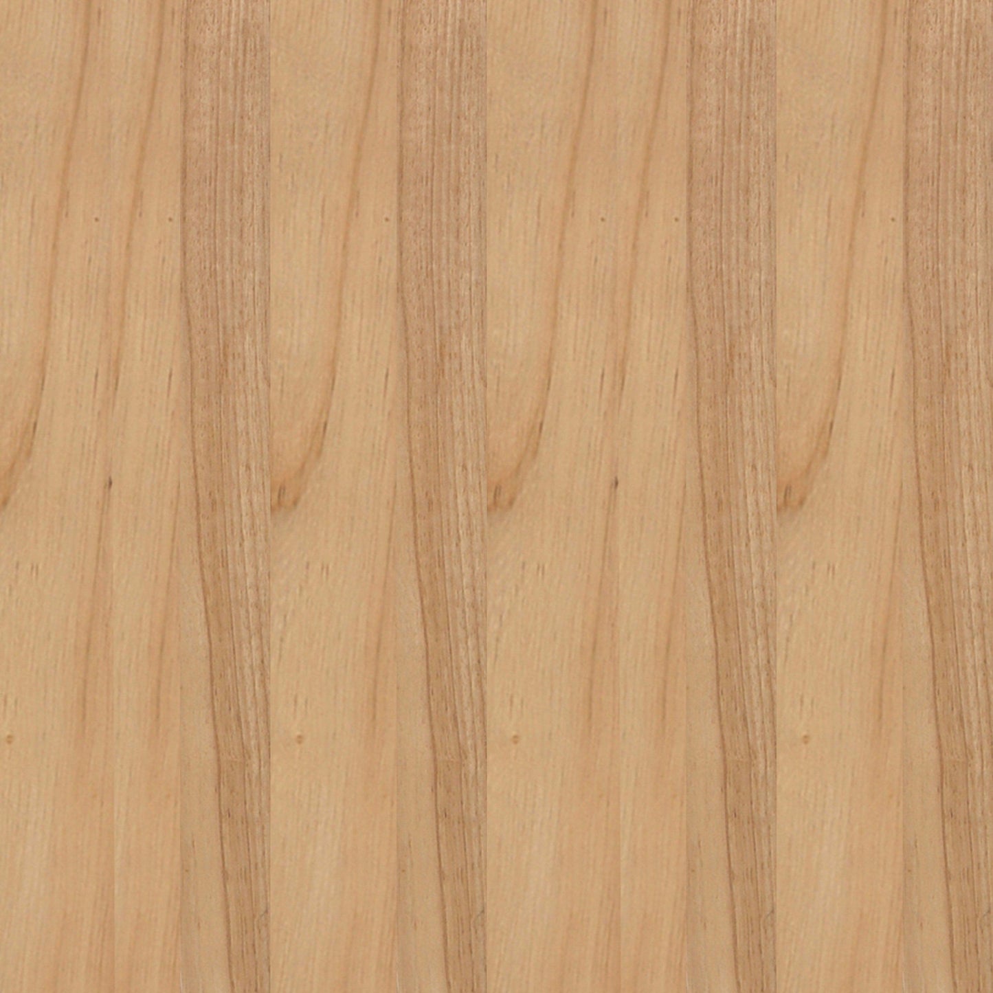 Naomi Commercial Cane Rattan Dining and Accent Chair with Solid Wood Frame Featuring Metallic Tipped Legs and Padded Seat