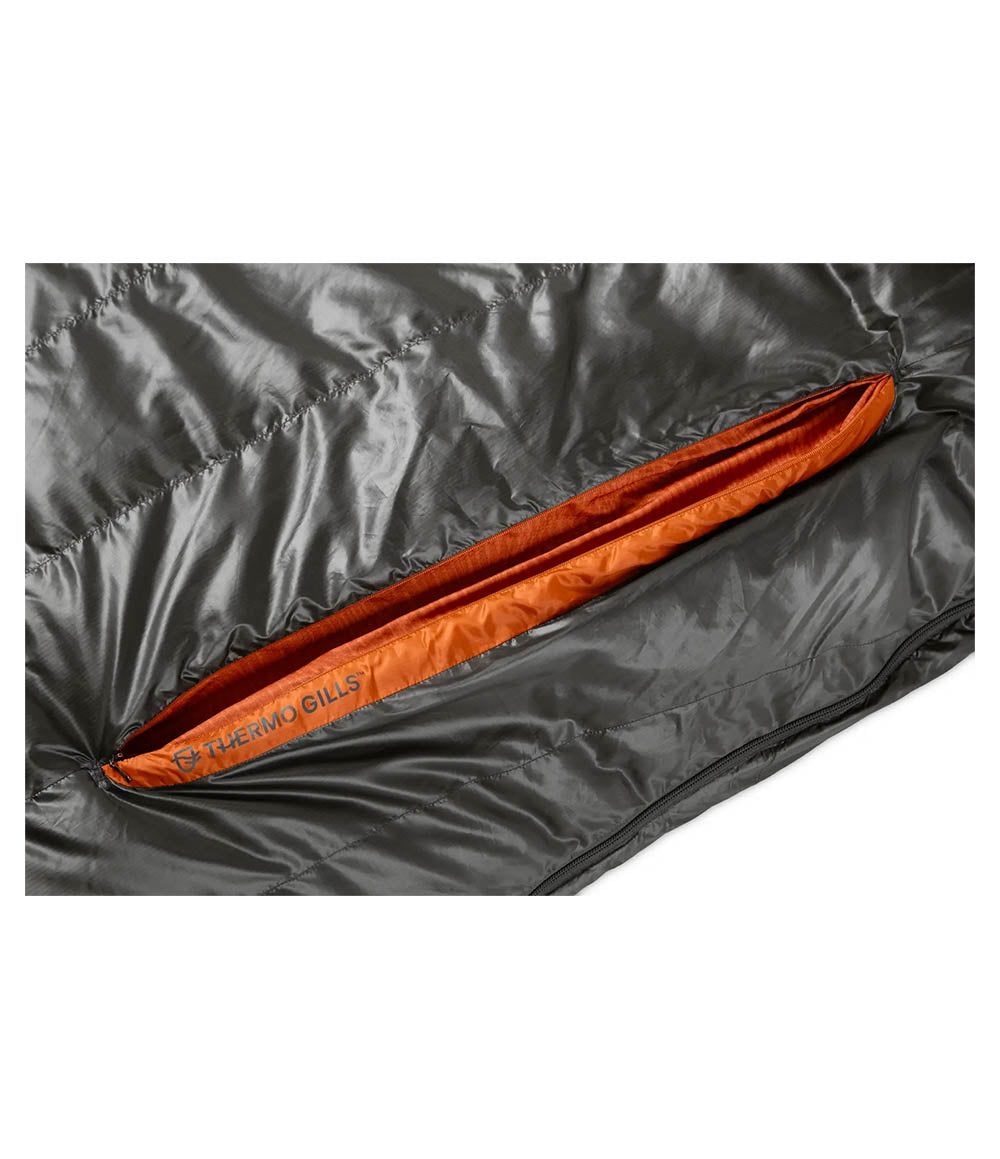 M Disco Endless Promise 30 Regular Chimera 2025