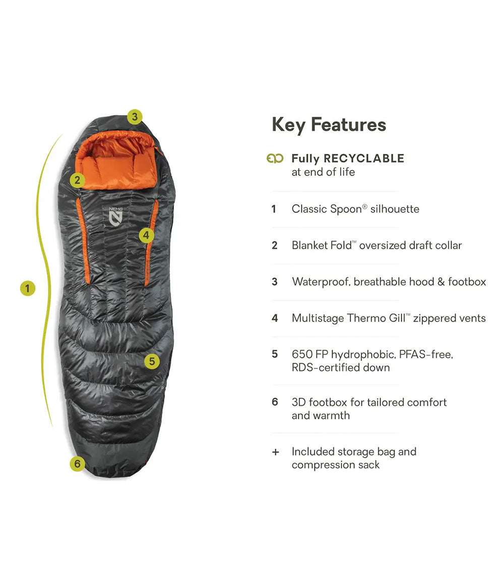 M Disco Endless Promise 30 Regular Chimera 2025