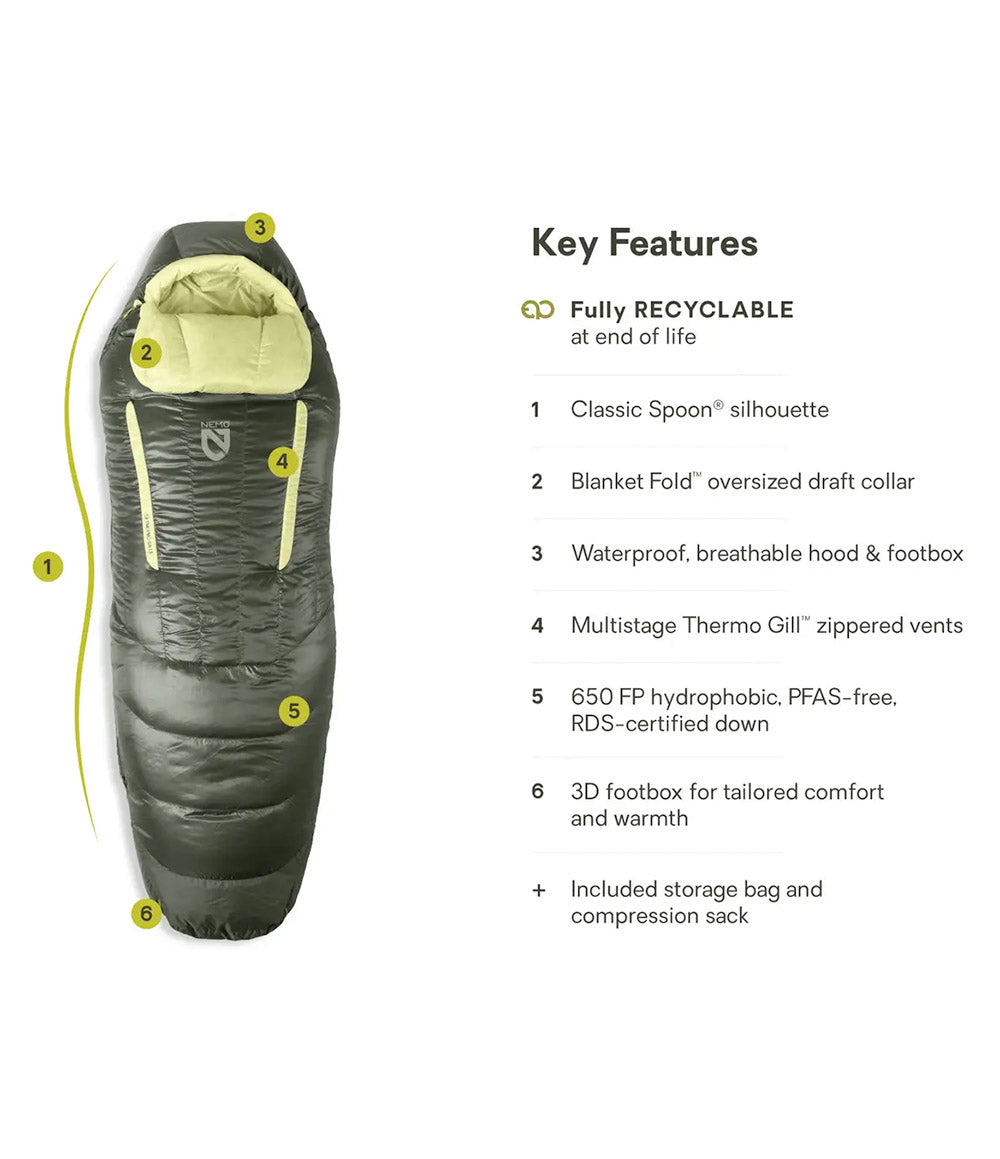 W Disco Endless Promise 15 Regular Boreal 2025