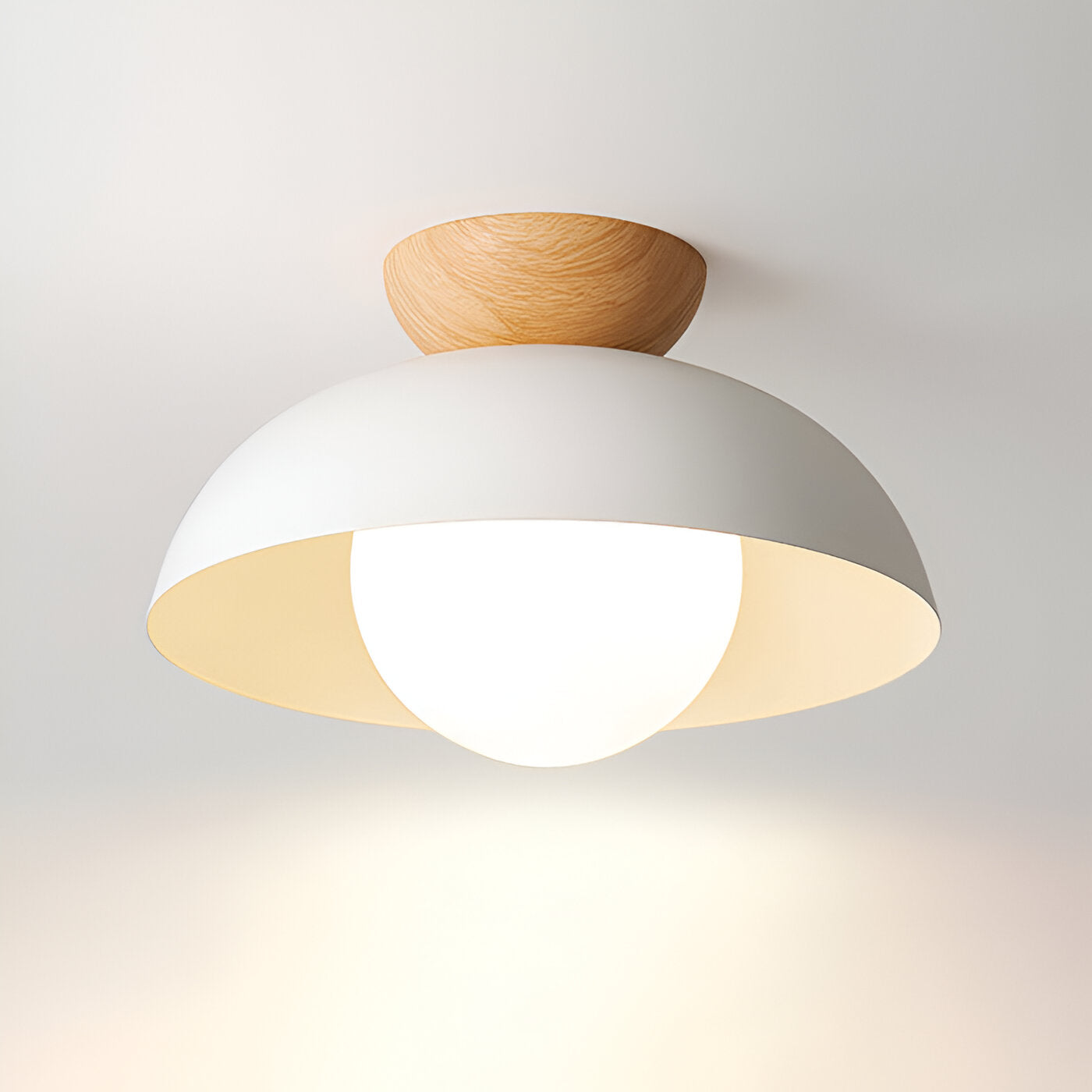 Nordic Minimalist Iron Shade Ceiling Light With Eco Dome Design