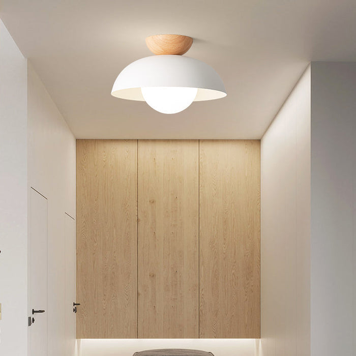 Nordic Minimalist Iron Shade Ceiling Light With Eco Dome Design