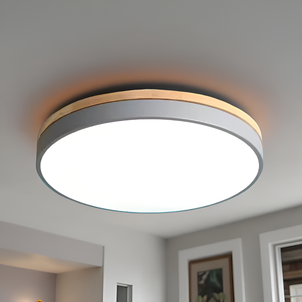 Nordic Round Flush Ceiling Light LED Light With Acrylic Diffuser
