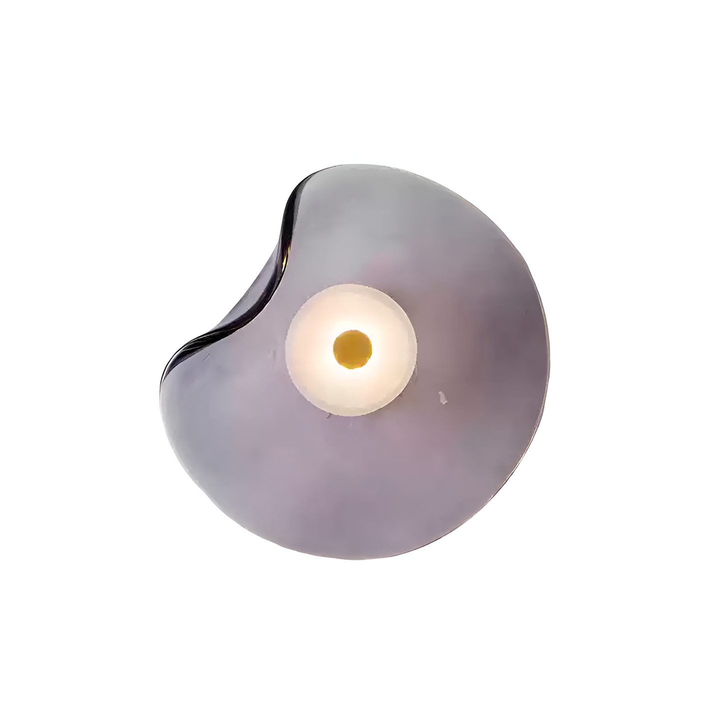 Nordic Curved Glass Wall Light LED Light With Sculpted Glass Shade