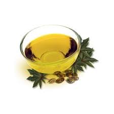 Oil Karanjia