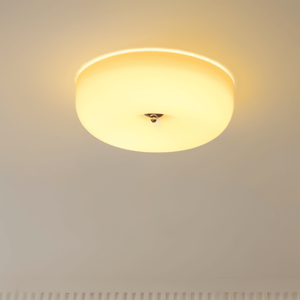 Donut Glass Ceiling Light With Smooth Dome Shade