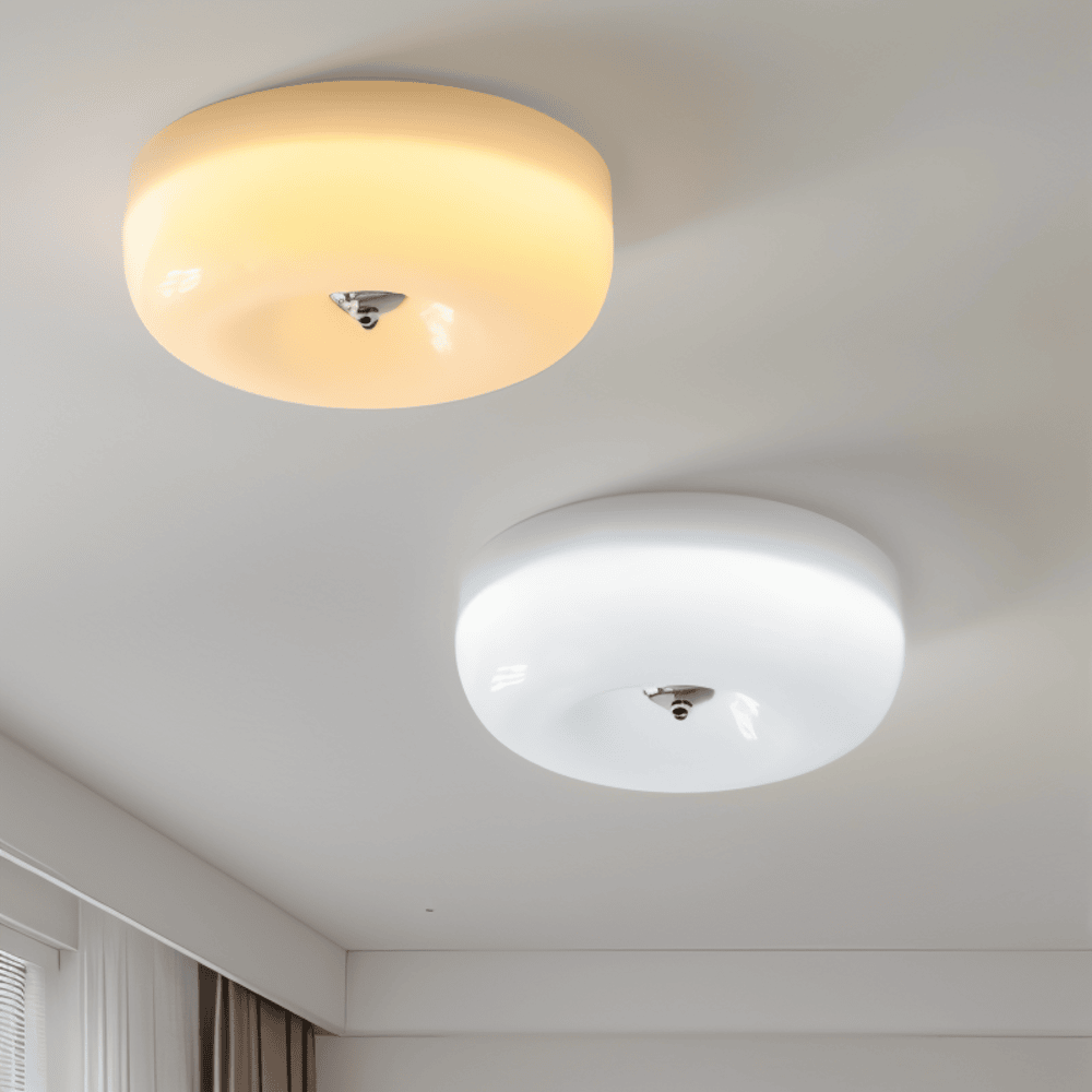 Donut Glass Ceiling Light With Smooth Dome Shade