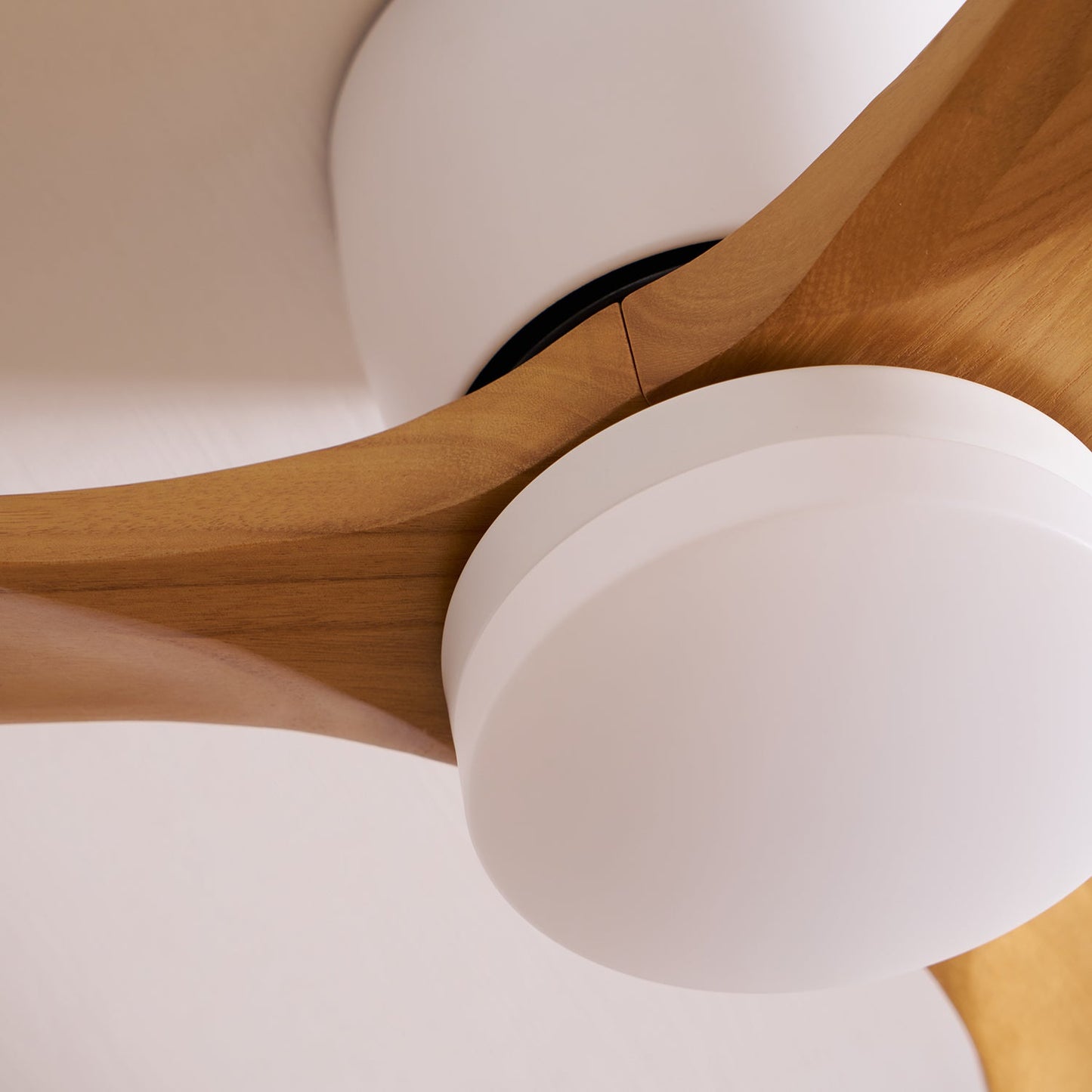 Wood Blade Ceiling Fan Ceiling Light With Remote Control