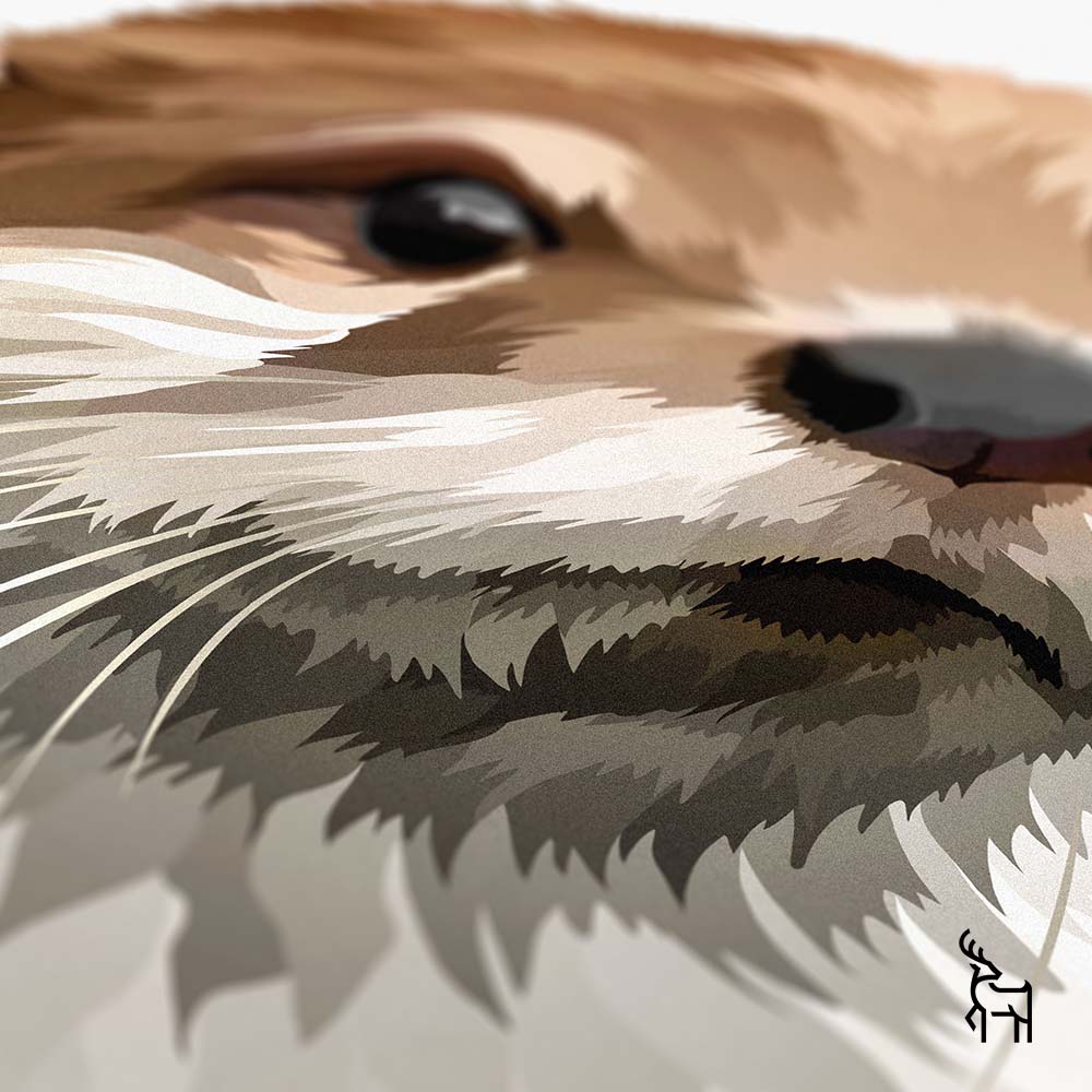 Otter