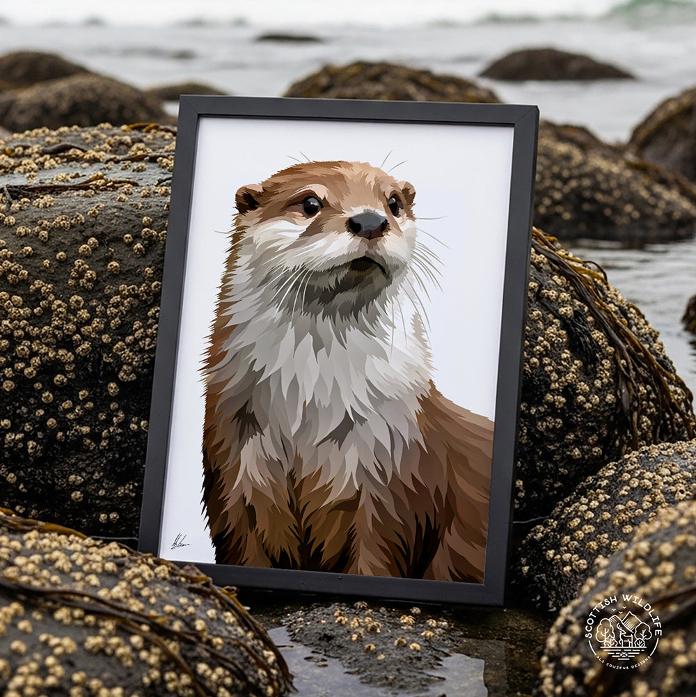 Otter