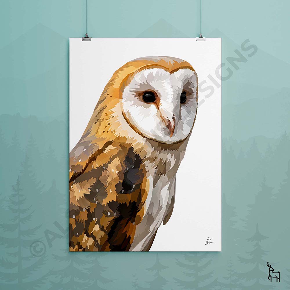 Barn Owl