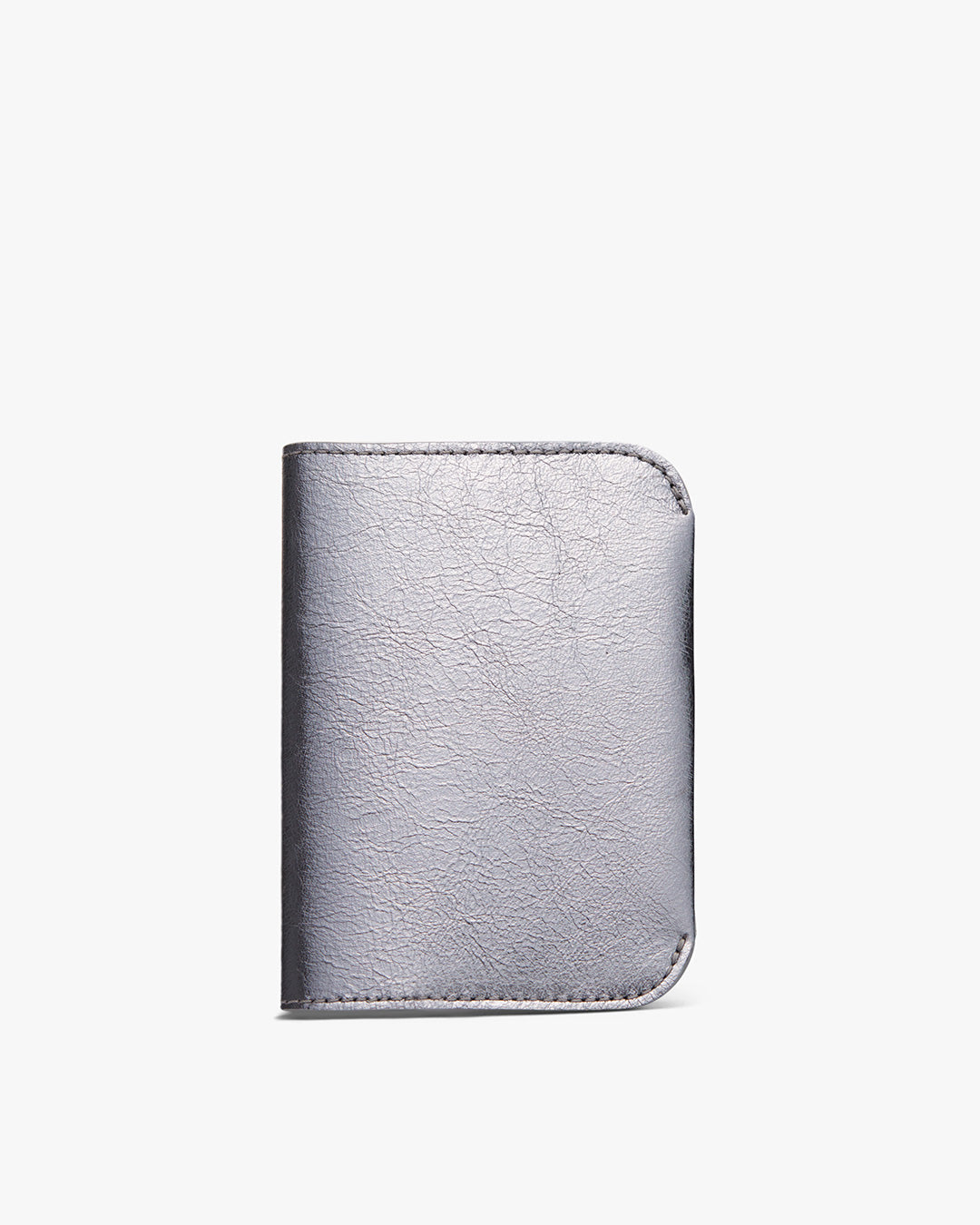 Passport Case (Shimmer)