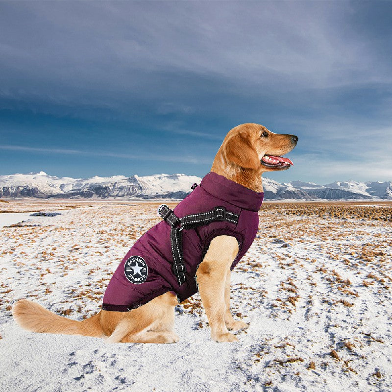 Snugglez Warm Padded Dog Coat