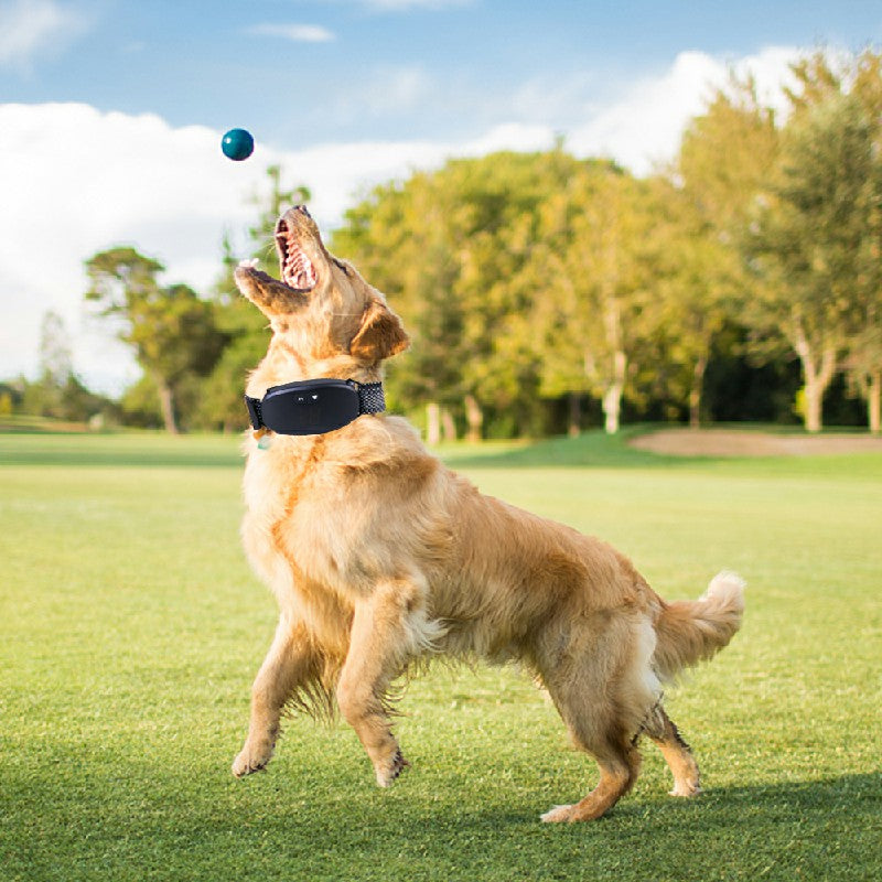 PetControl Rechargeable Anti-Bark Collar