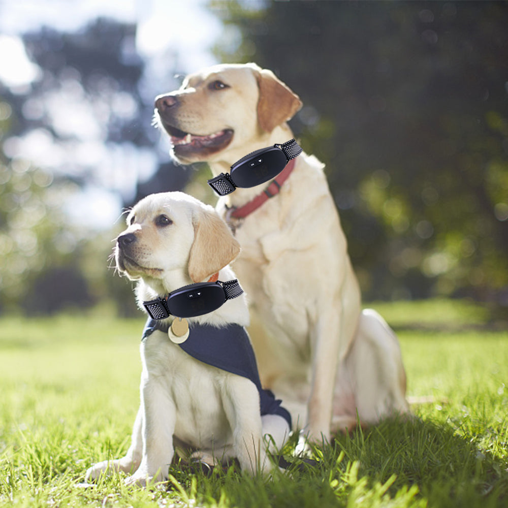PetControl Rechargeable Anti-Bark Collar