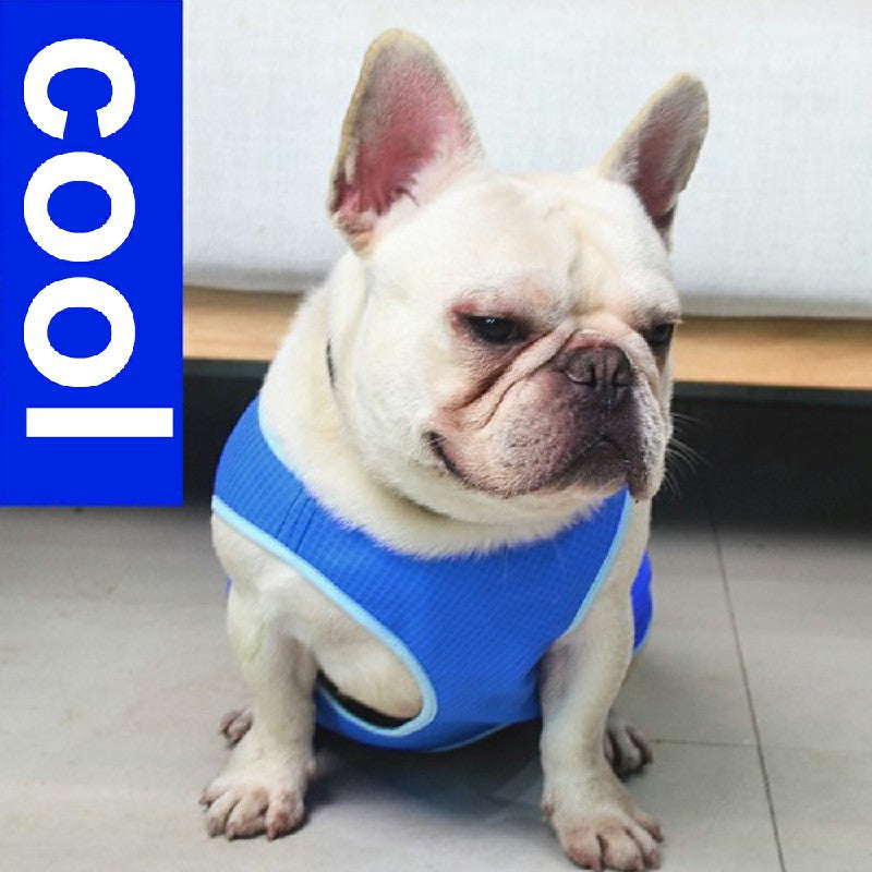 Cooling Dog Vest for Summer