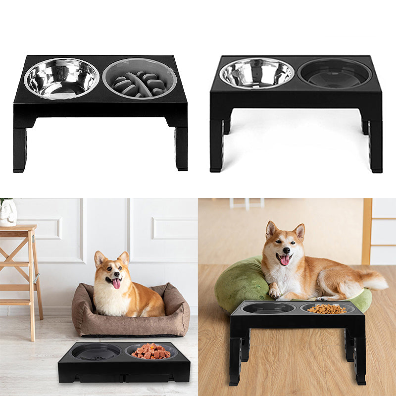Raised Slow Feeder Dog Bowls