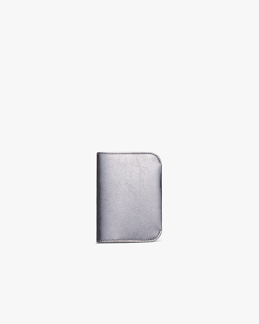 Passport Case (Shimmer)