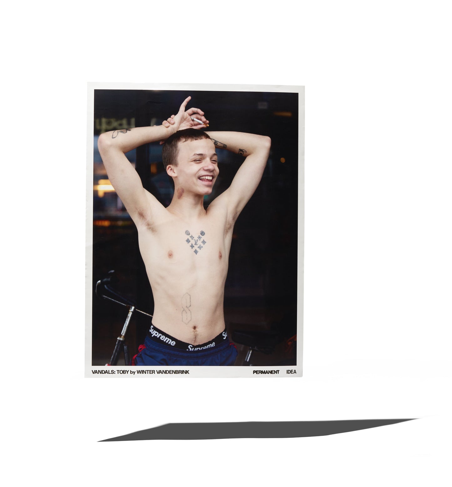 PERMANENT - POSTER A1 - WINTER VANDENBRINK