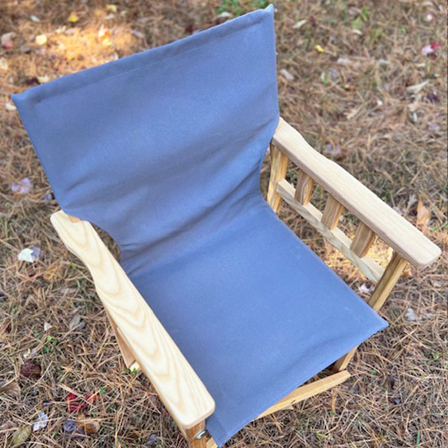 Pangean Campaign Chair