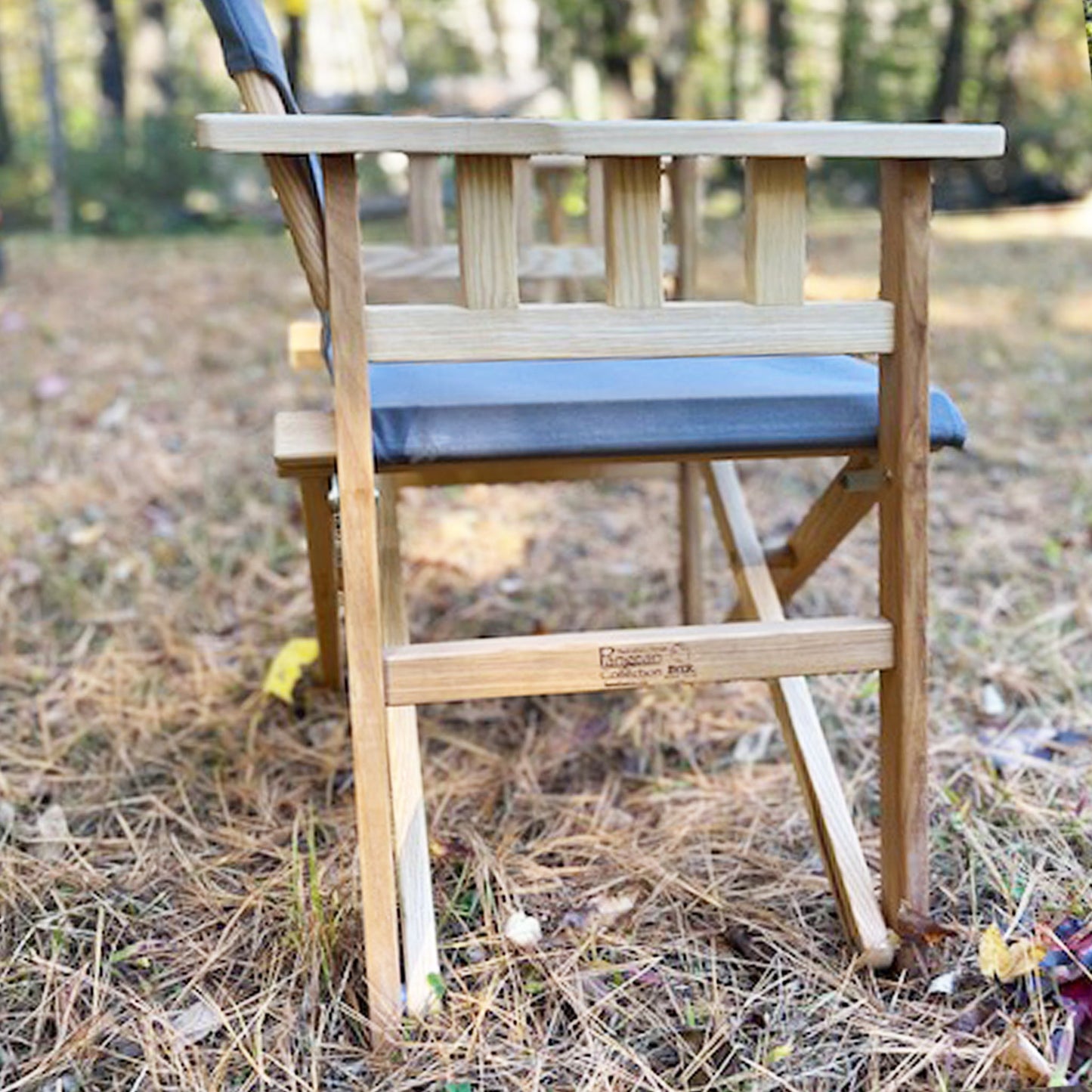 Pangean Campaign Chair