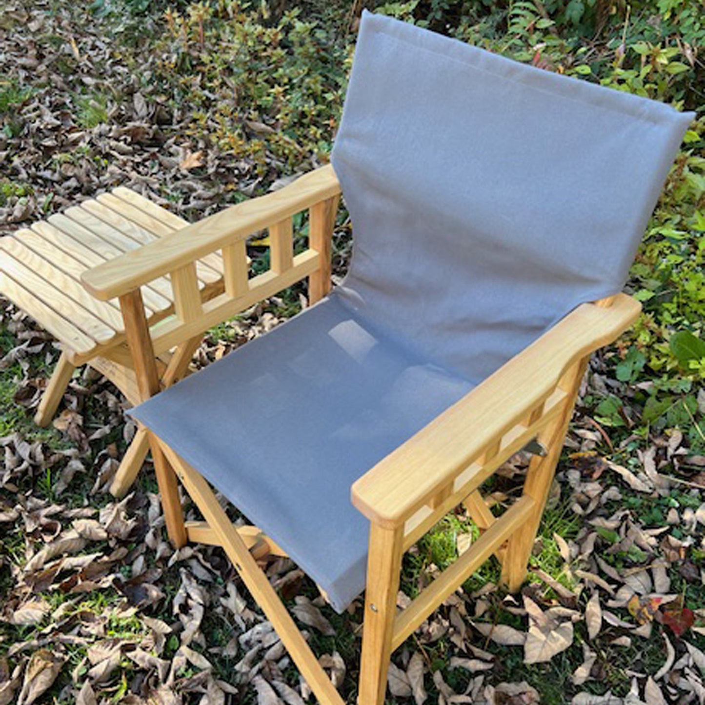 Pangean Campaign Chair