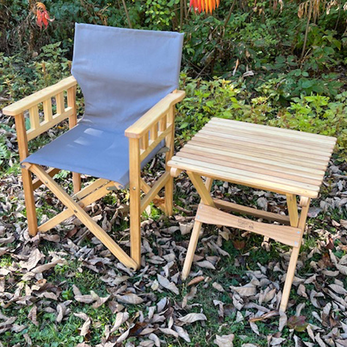 Pangean Campaign Chair