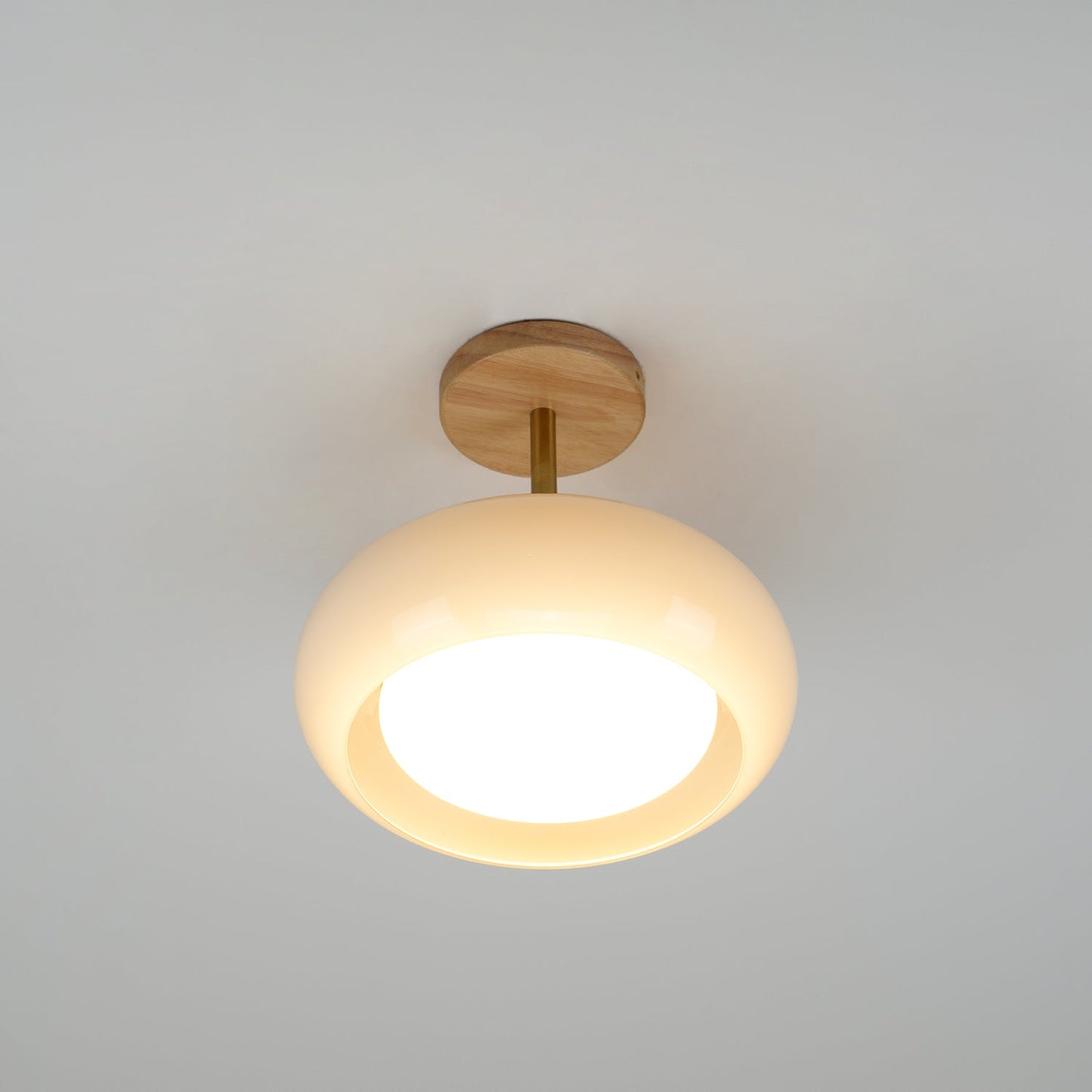 Glass Shade Ceiling Light With Wood Canopy