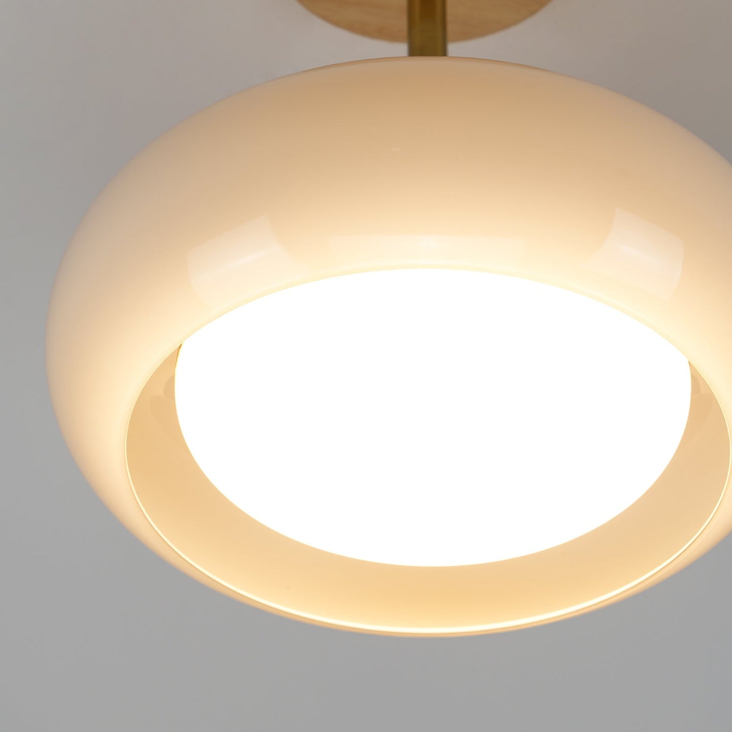 Glass Shade Ceiling Light With Wood Canopy
