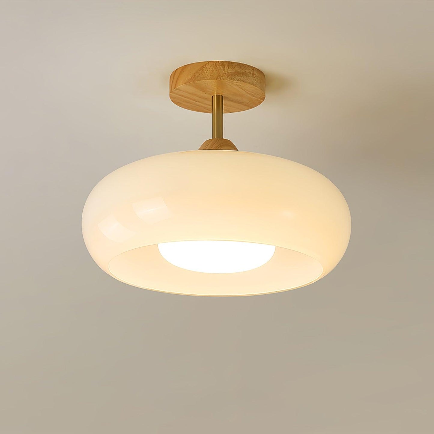 Glass Shade Ceiling Light With Wood Canopy