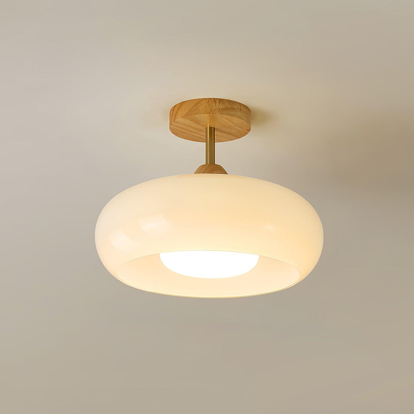 Glass Shade Ceiling Light With Wood Canopy