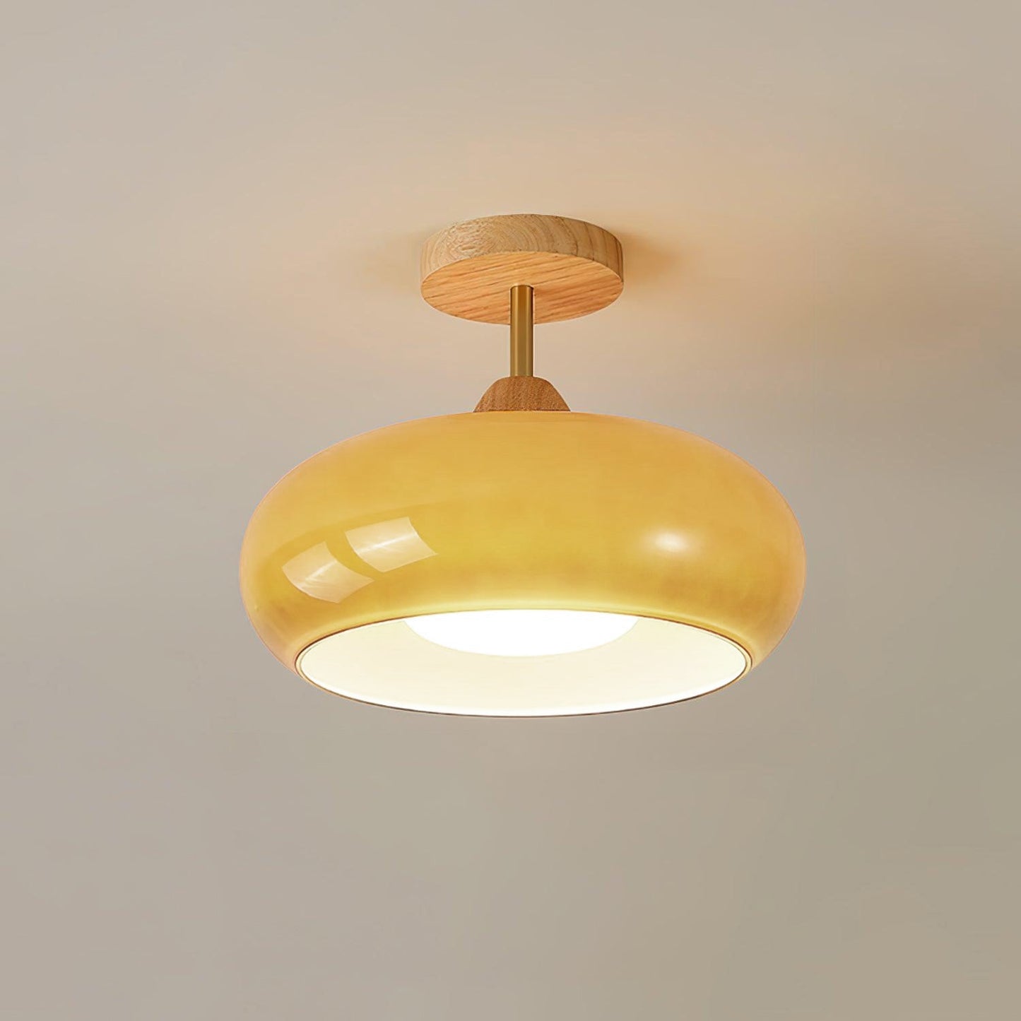 Glass Shade Ceiling Light With Wood Canopy