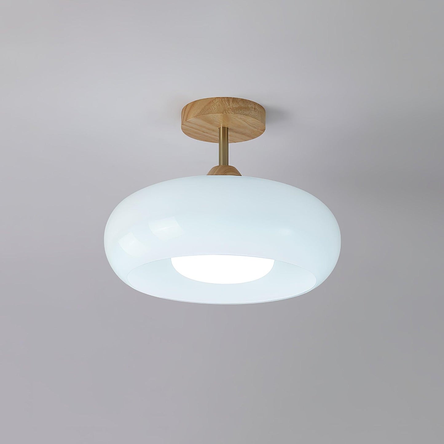 Glass Shade Ceiling Light With Wood Canopy