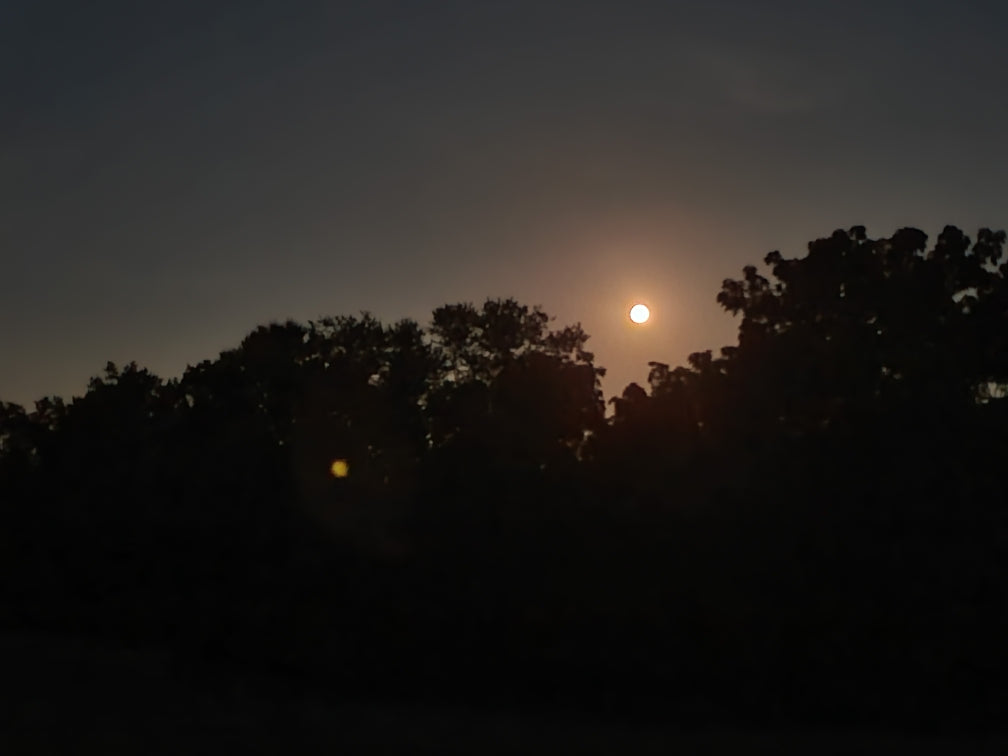 2026 Full Moon Hike Series