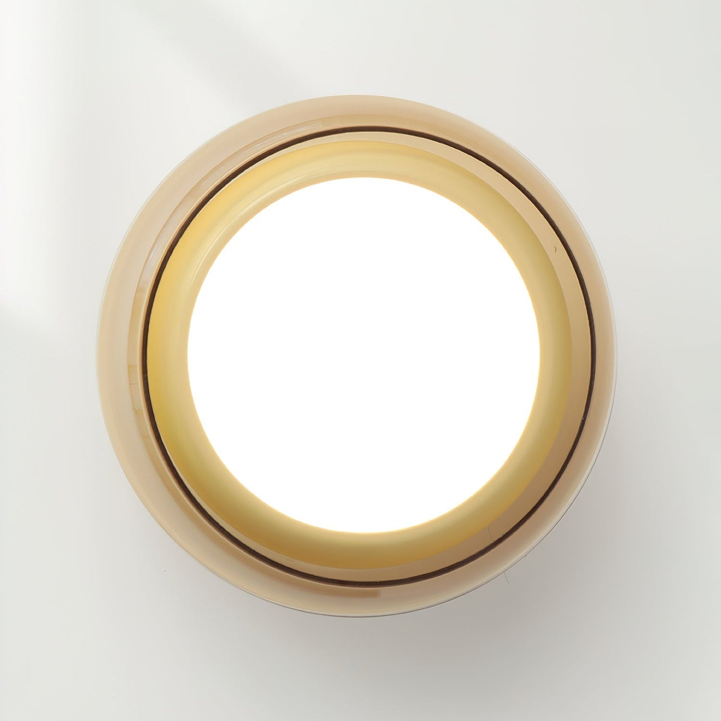 Warm White LED Glass Flush Mount Ceiling Light With Brass Rim