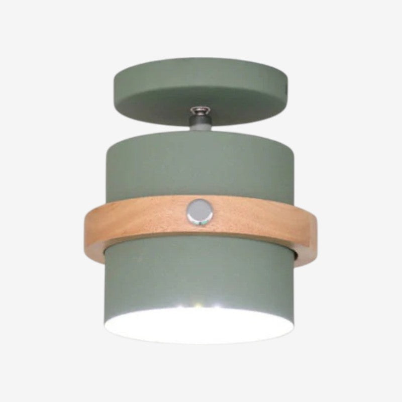 Rotating Flush Mount Ceiling Light LED Dimmable