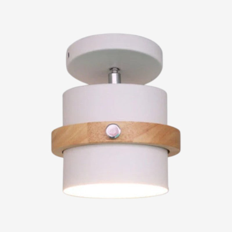 Rotating Flush Mount Ceiling Light LED Dimmable