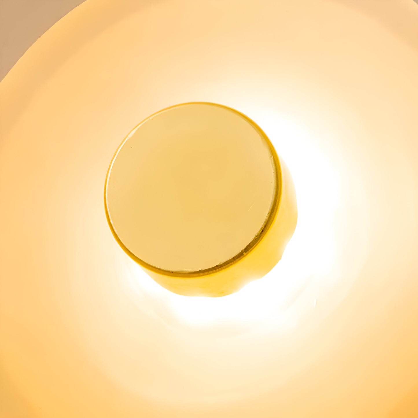Nordic Curved Glass Wall Light LED Light With Sculpted Glass Shade