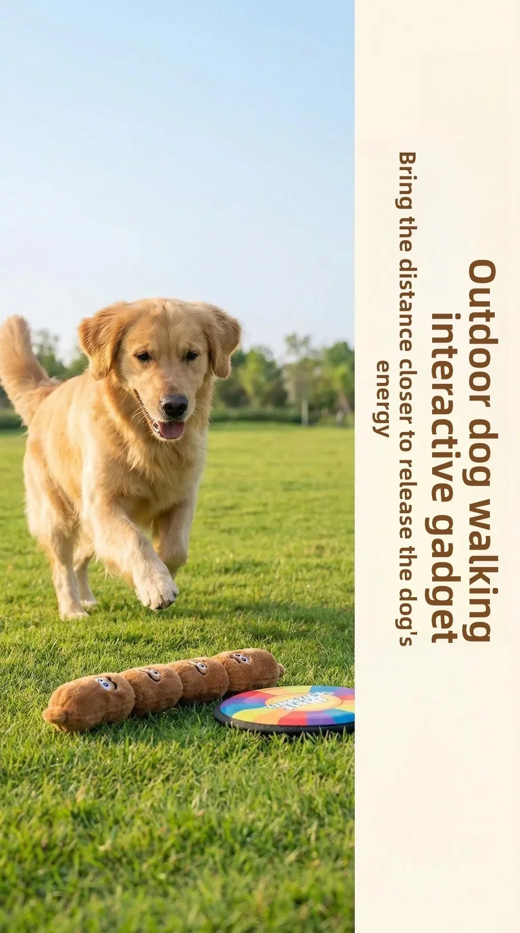Squeaky Plush Sausage Dog Toy