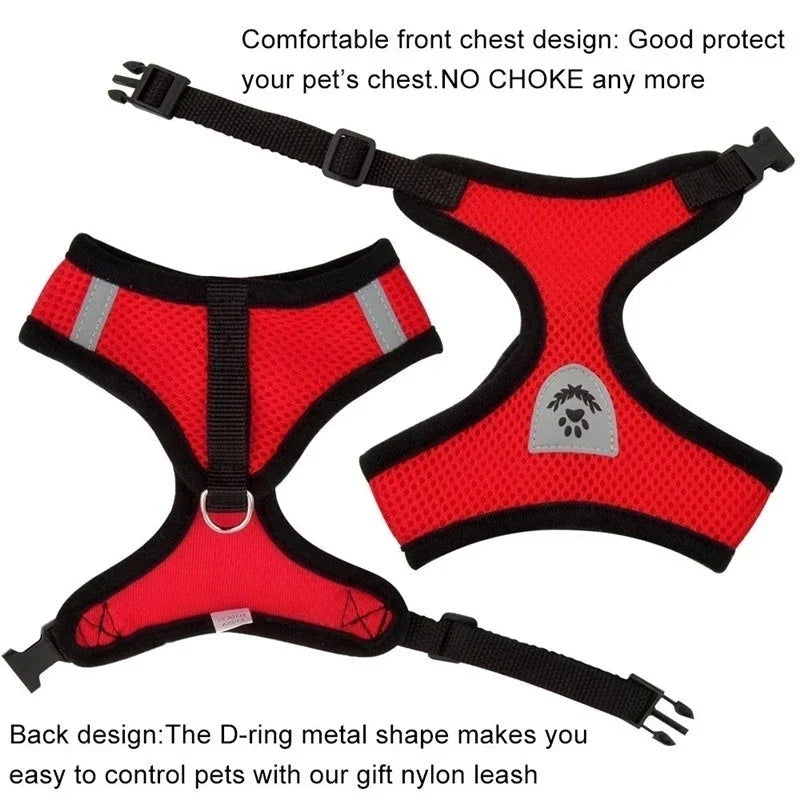 Breathable Mesh Harness & Leash