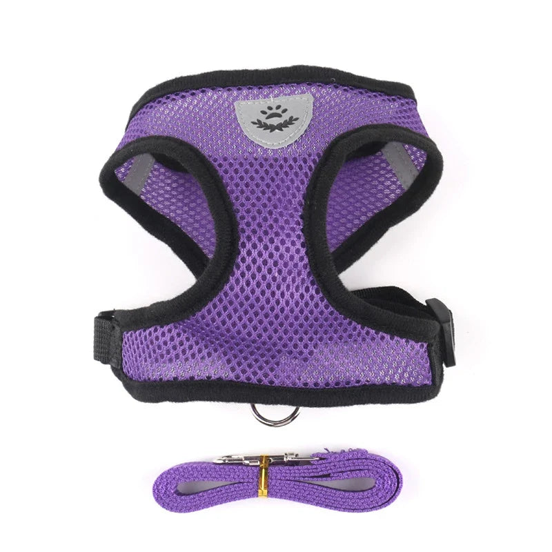 Breathable Mesh Harness & Leash